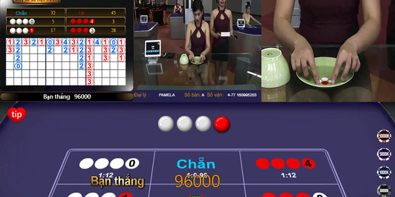 Xóc Đĩa Live Dealer BONGVIP – Chơi Chuẩn Xác Và Hấp Dẫn
